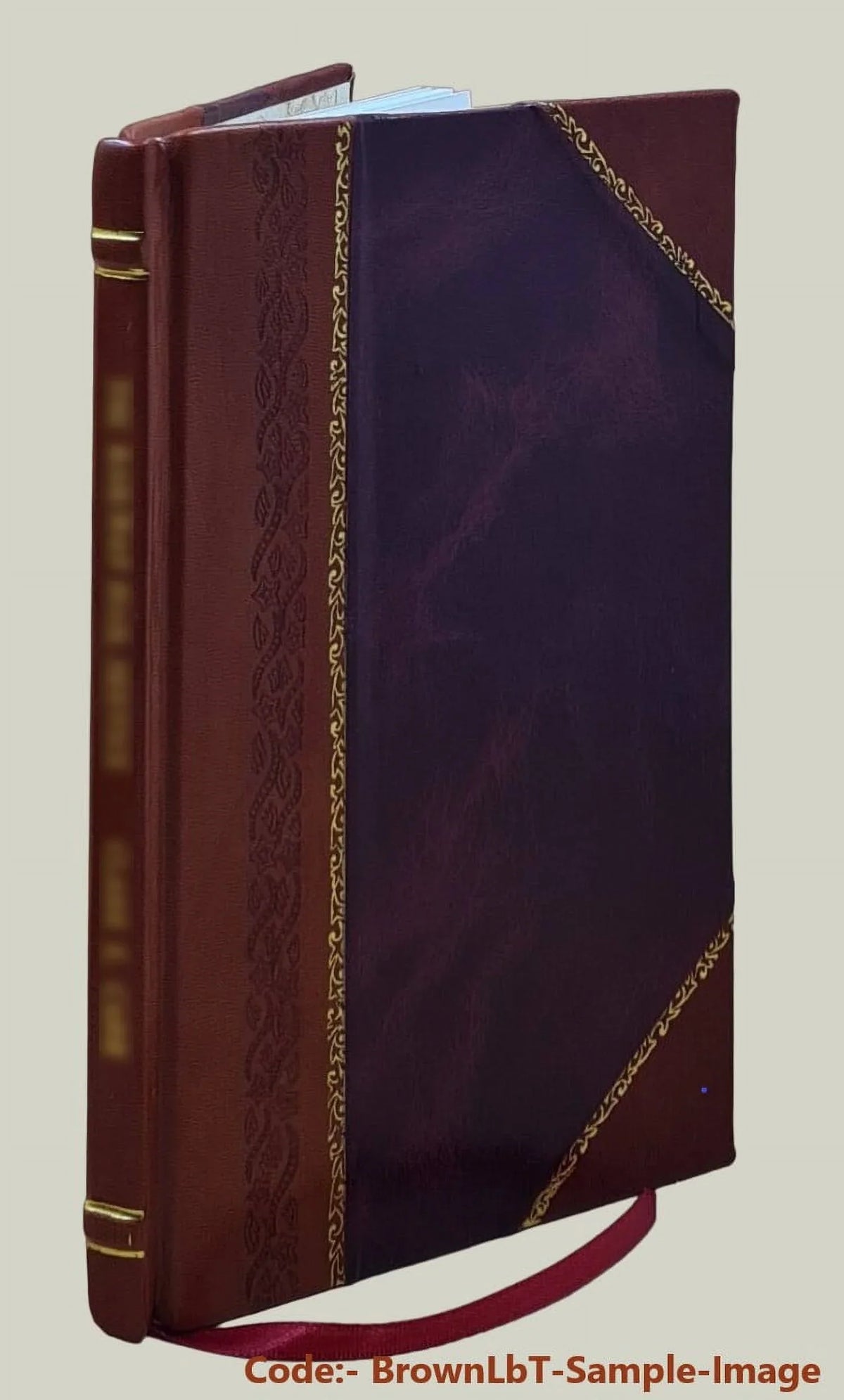 What the sam hill 1911 [Leather Bound]