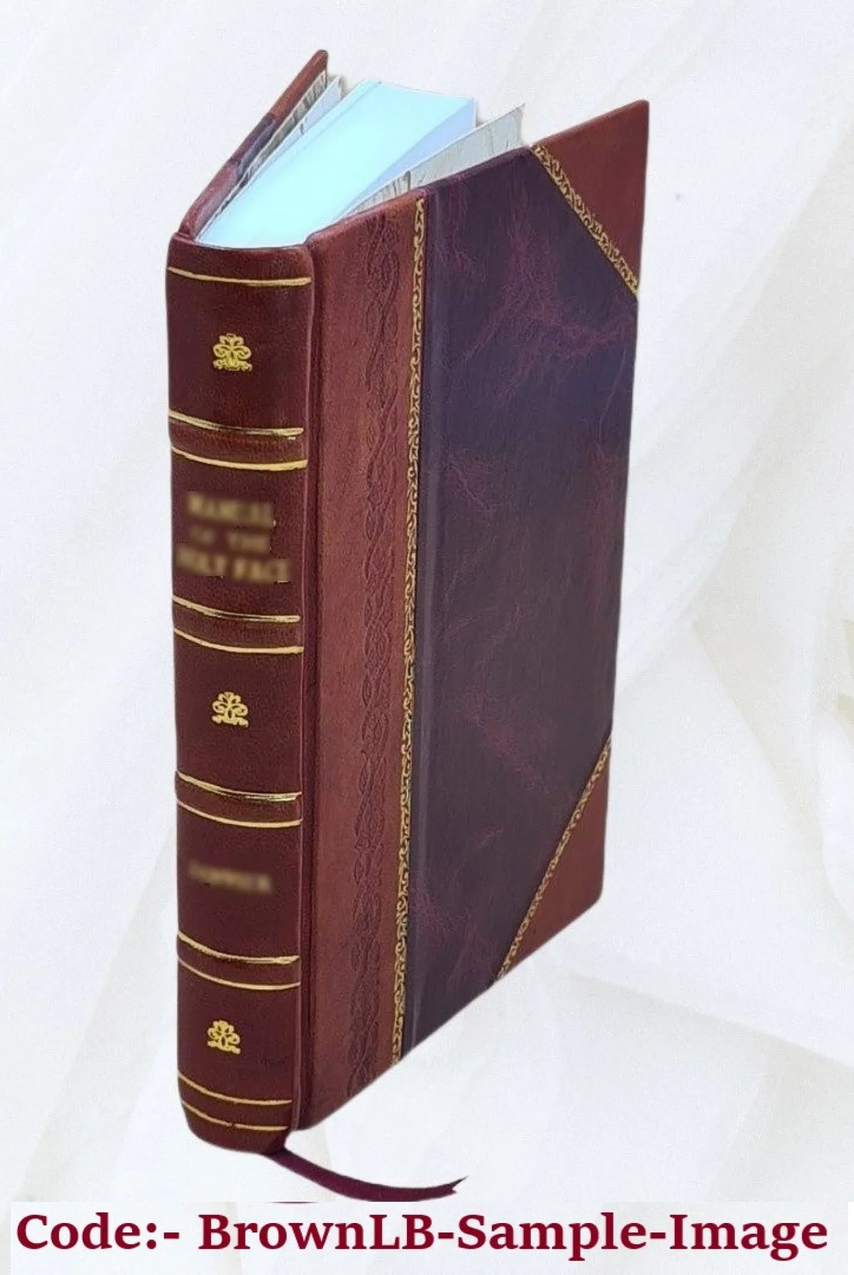 Annual report on the statistics of municipal finances for city and town fiscal years ending between ... and ... / by the Director of the Bureau of Sizetatistics. Volume 1917-1919 1917-1919 1919 [Leather