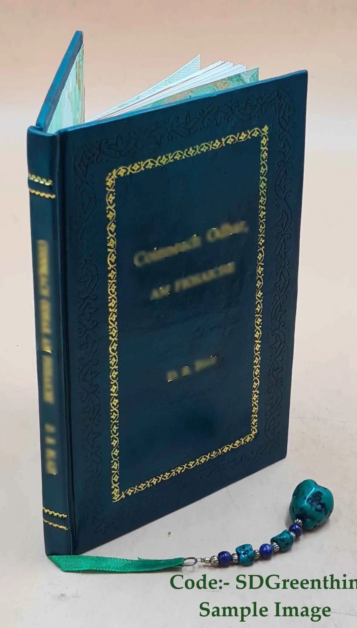 FSizeI - Russian FASizeT Course Sizetudent Text lesson 6-8 [Premium Leather Bound]